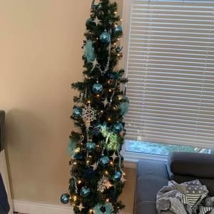 Meet your Posher, Holly